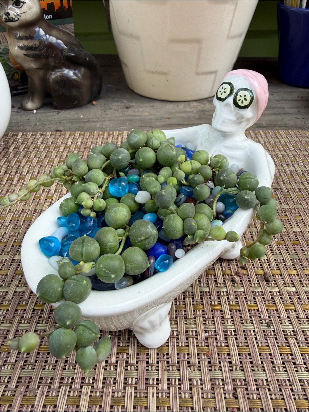 Spa Day! Ceramic Bathtub Planter with  Skeleton and String of Pearls Succulent